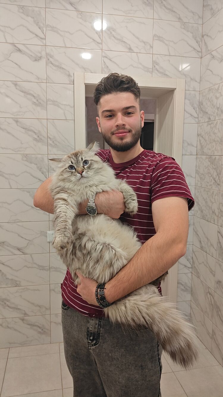  ,   , 26 ,   