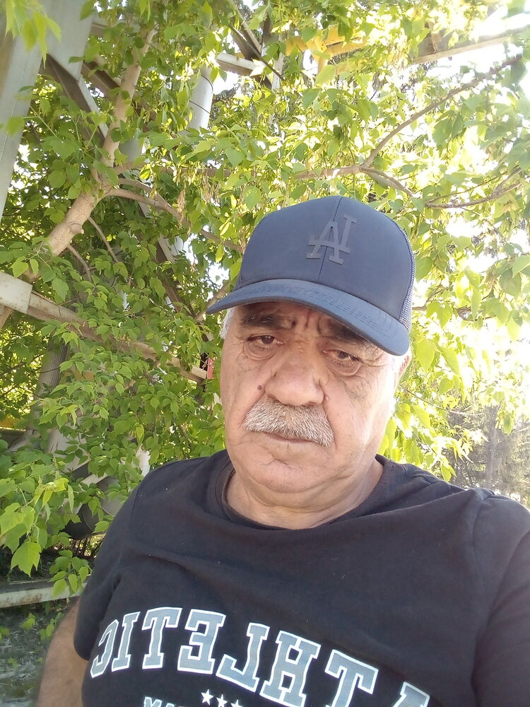  43605754  , 65 ,    