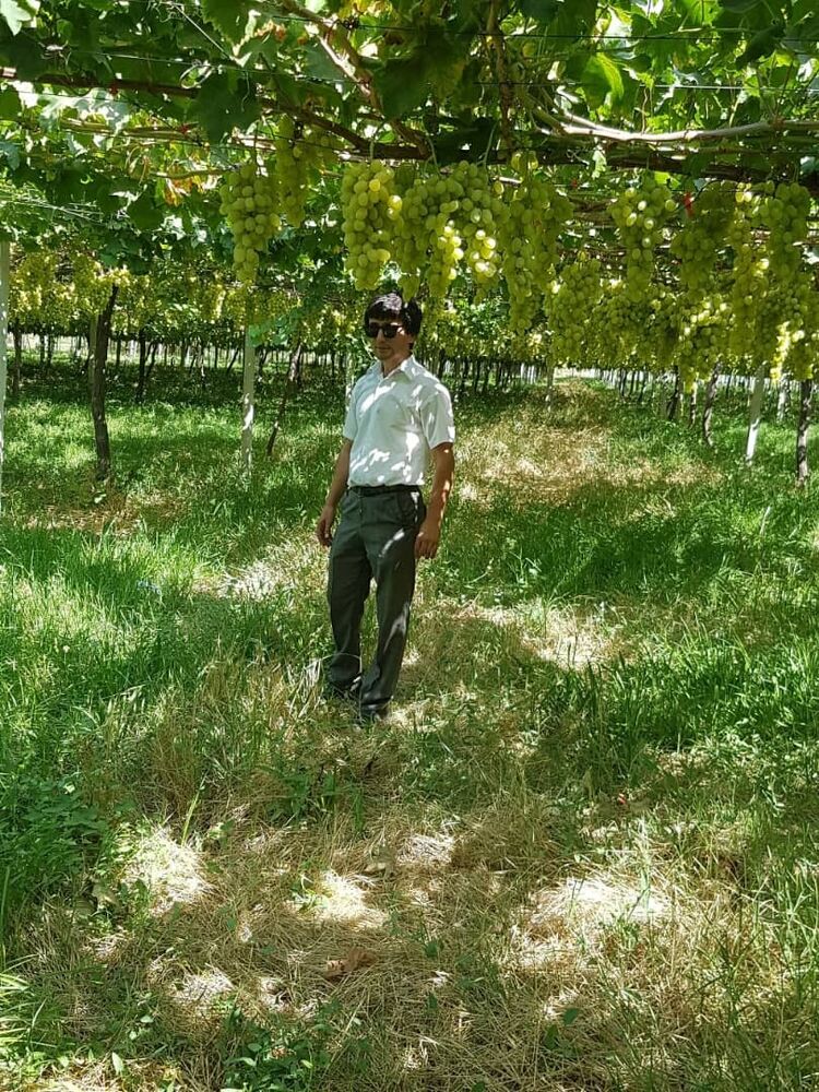 ���������� �������, ���� ������� Husein, 39 ���, ������������ ��� ������, ����� � ���������, c�������� ���������