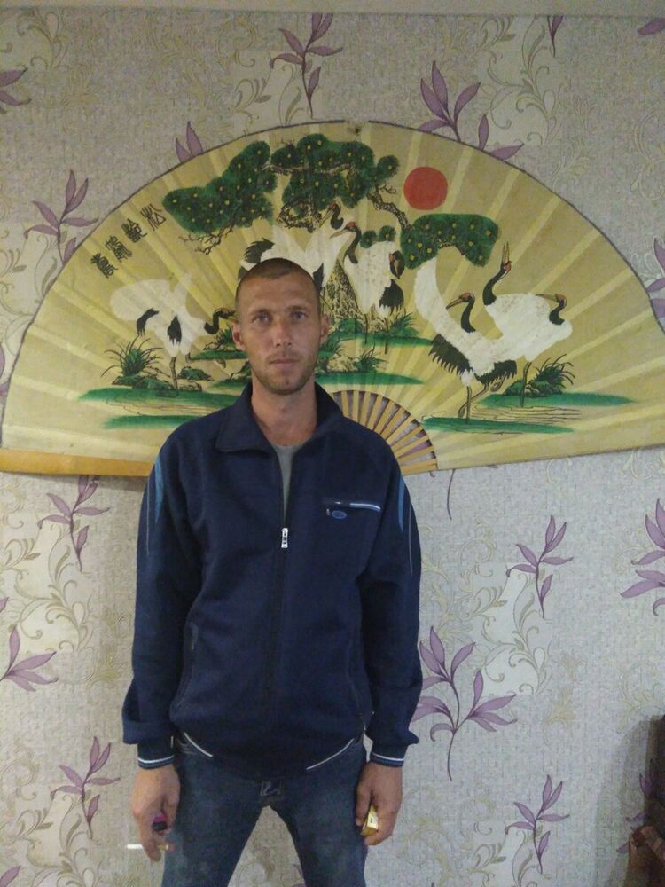  20577964  , 40 ,    
