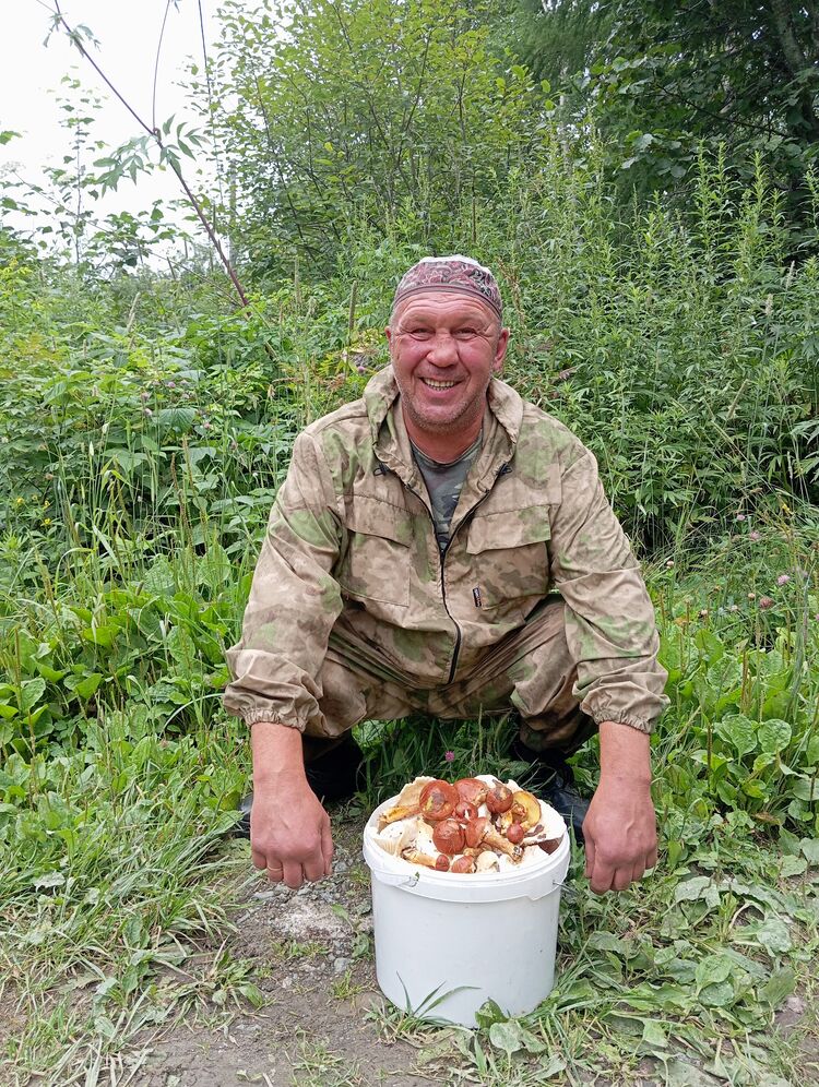 ���� 55542754 ������� ������, 50 ���, ���� ���������� � ����-����������