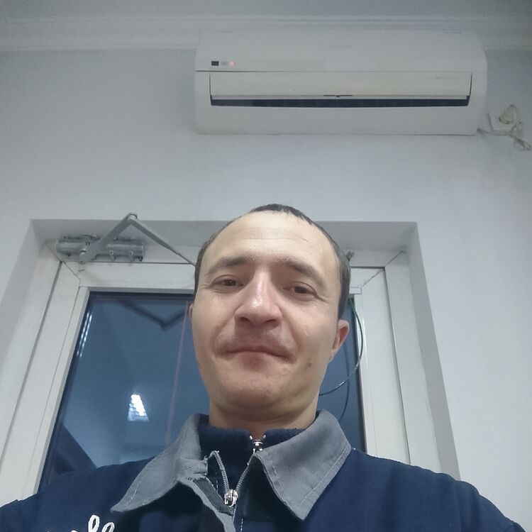 ���� 56170314 ������� ���������, 31 ���, ���� ���������� � ��������