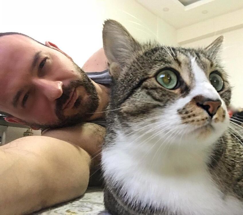 ���������� ������, ���� ������� ����� ����, 48 ���, ������������ ��� ������, ����� � ���������, c�������� ���������