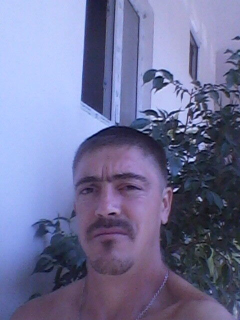  16413944  , 38 ,    