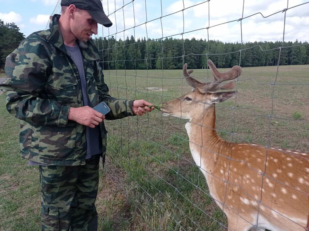 ���������� �����, ���� ������� ������, 37 ���, ������������ ��� ������, ����� � ���������