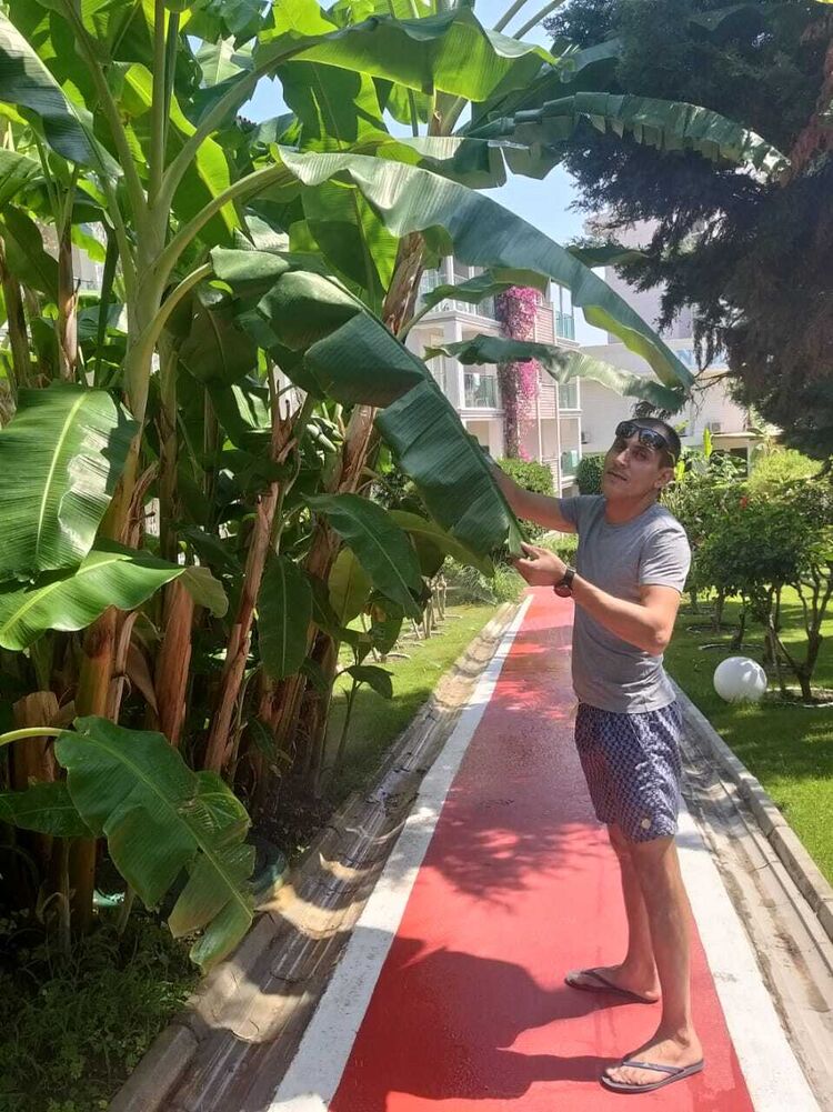 ���� 39472064 ������� ������, 40 ���, ���� ���������� � ������