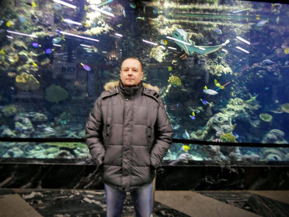 ���� 55595604 ������� ������, 66 ���, ���� ���������� � �����������