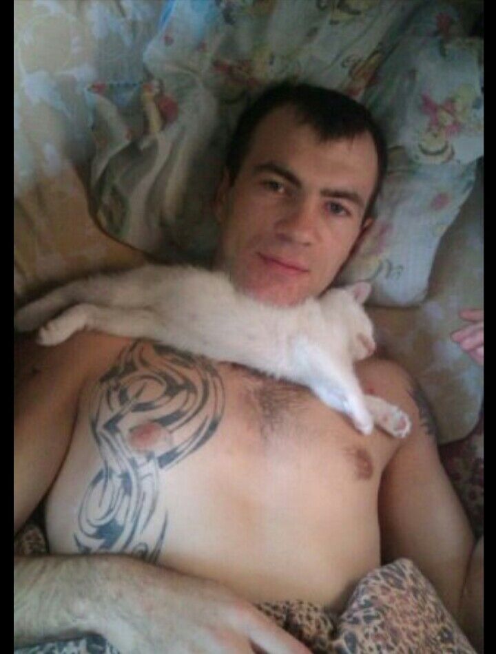  ,   , 34 ,   