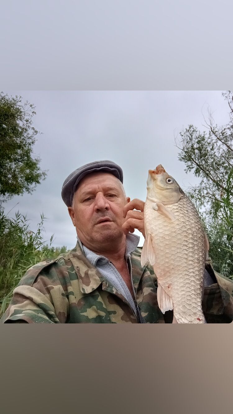  ,   , 50 ,   c 