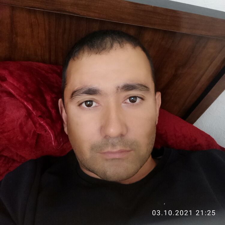  24068194  , 40 ,    