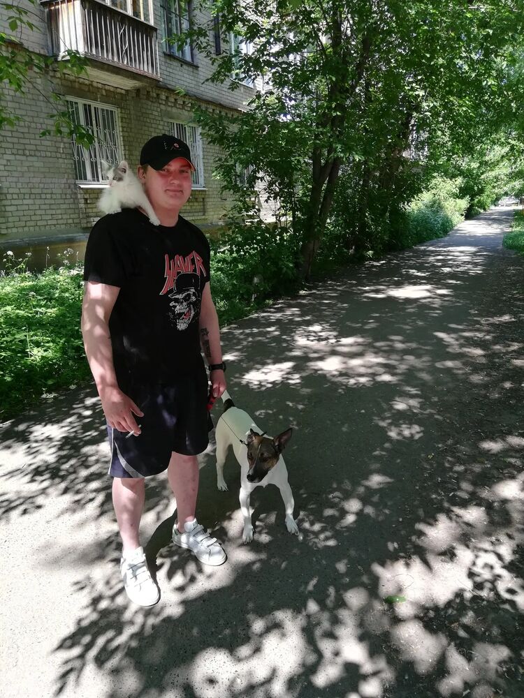 ���������� �����, ���� ������� ����������, 41 ���, ������������ ��� ������, ����� � ���������