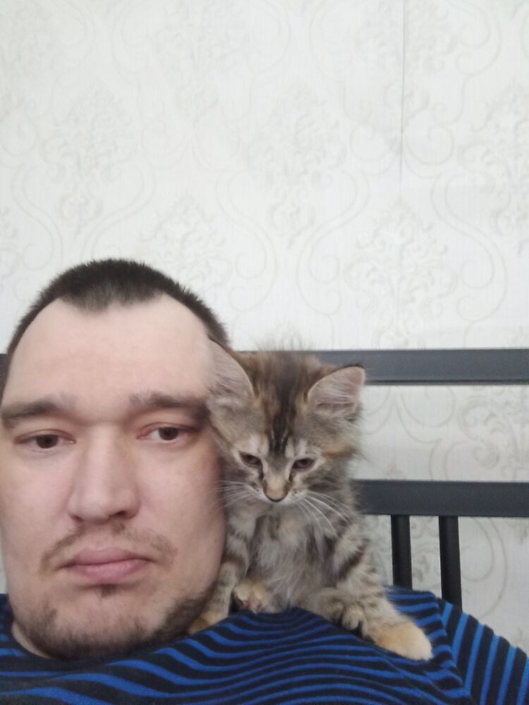  ,   , 41 ,   c 