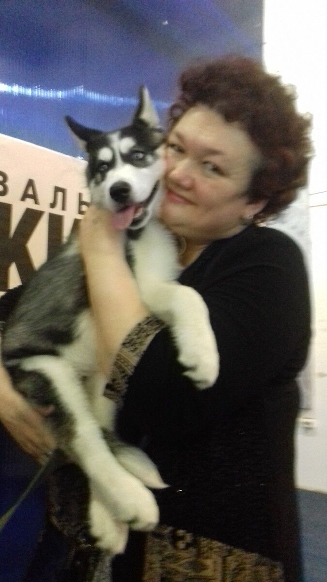  11084974  , 57 ,    -