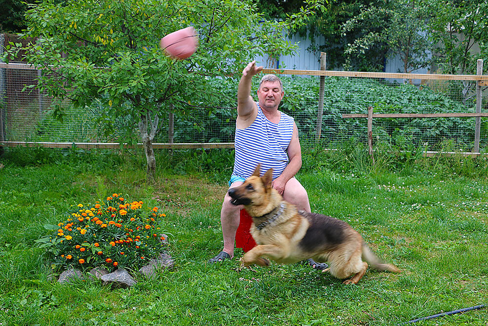 ���� 26055954 ������� ������, 59 ���, ���� ���������� � ������