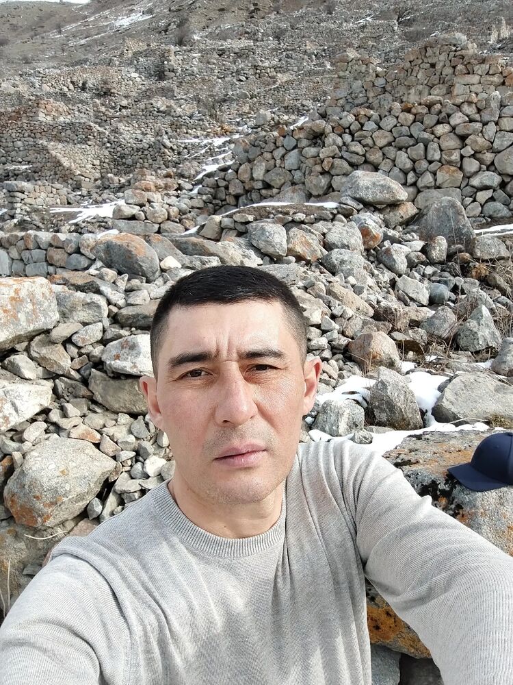  52302344  , 43 ,    