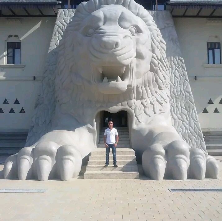 ���������� ������, ���� ������� ��������, 45 ���, ������������ ��� ������, ����� � ���������