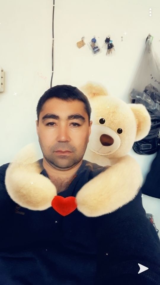 ���� 19568524 ������� ���, 45 ���, ���� ���������� � �����