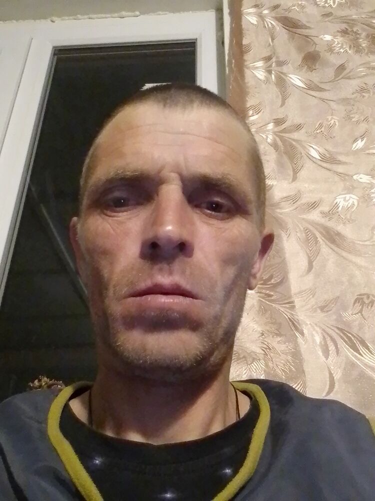  42531004  , 38 ,    