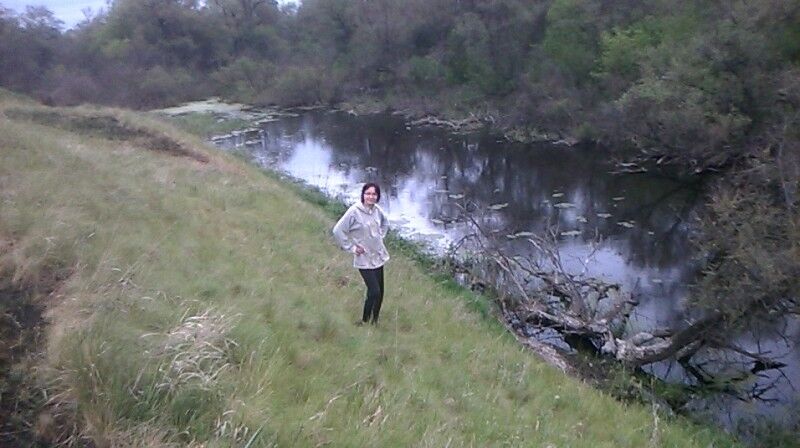 ���� 8376464 ������� ������, 45 ���, ���� ���������� � ����������