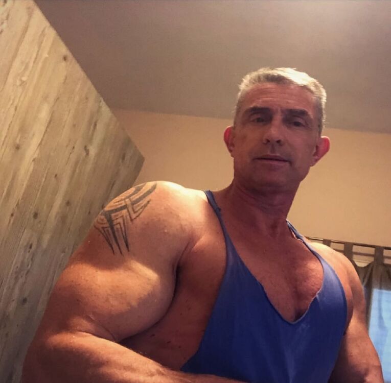  51967684  , 60 ,    