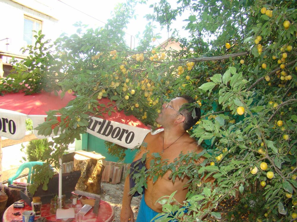  ,   , 55 ,   ,   