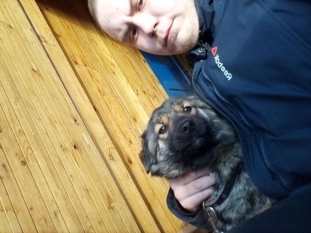 ���� 15721234 ������� ������, 26 ���, ���� ���������� � �����