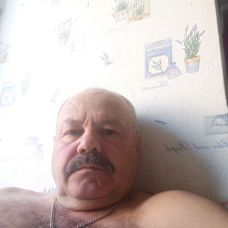 ���� 56134704 ������� �����, 55 ���, ���� ���������� � ����������