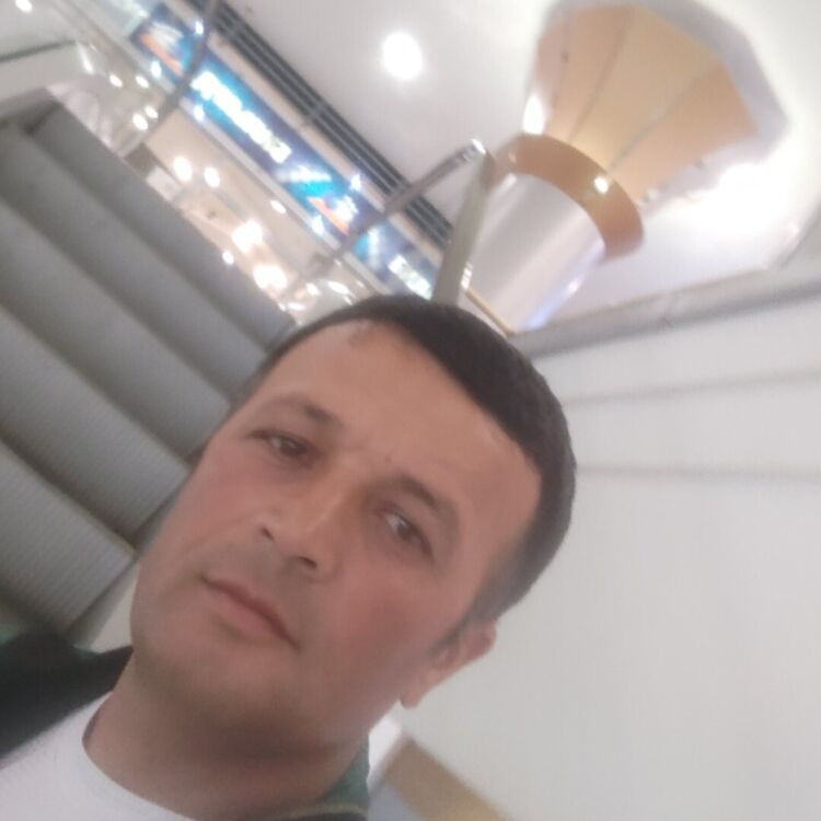  -,   , 48 ,     