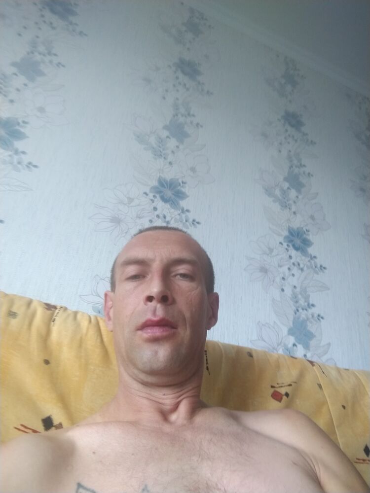  28336354  , 43 ,    