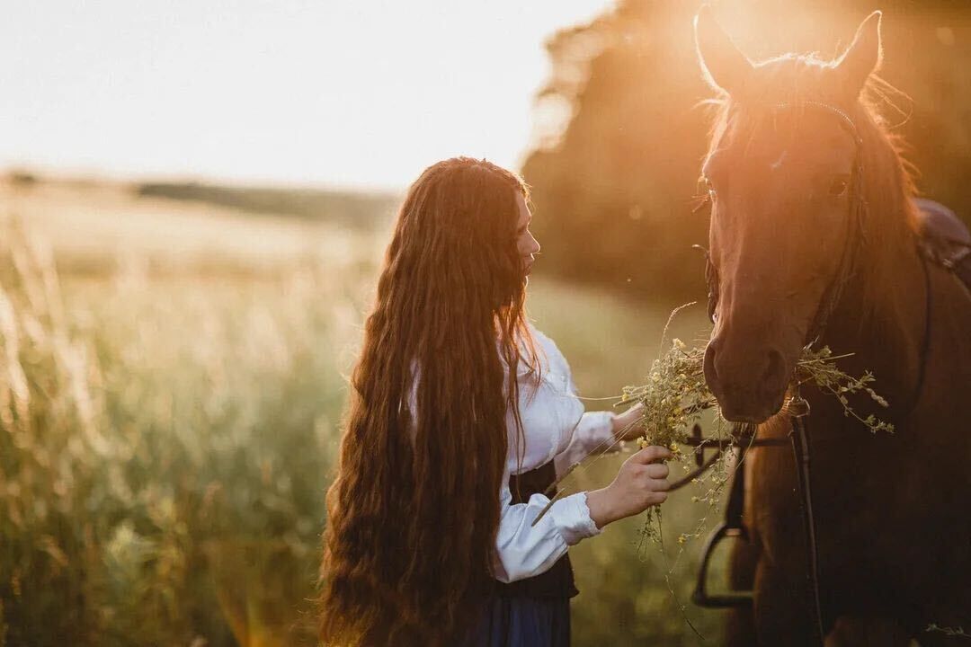 ���� 26284874 ������� ������, 23 ����, ���� ���������� � ����������