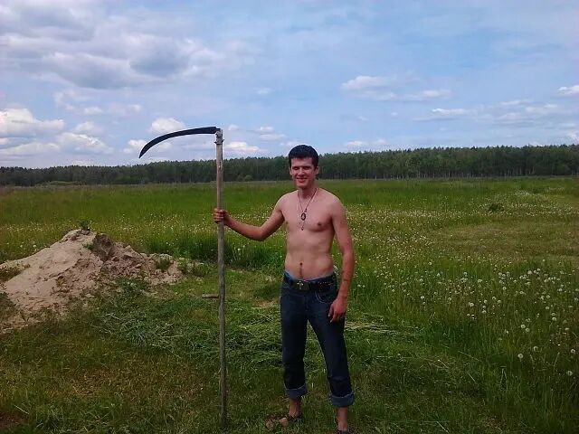  31126954  , 38 ,    