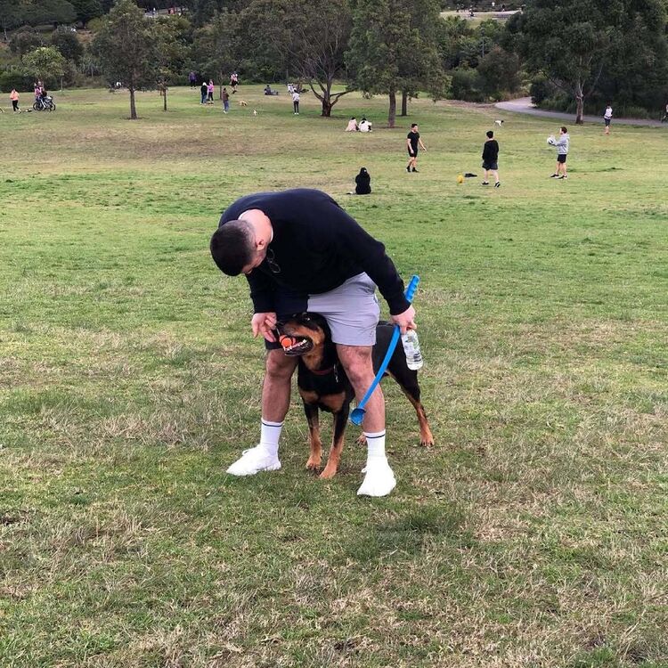  54098934  , 33 ,    -