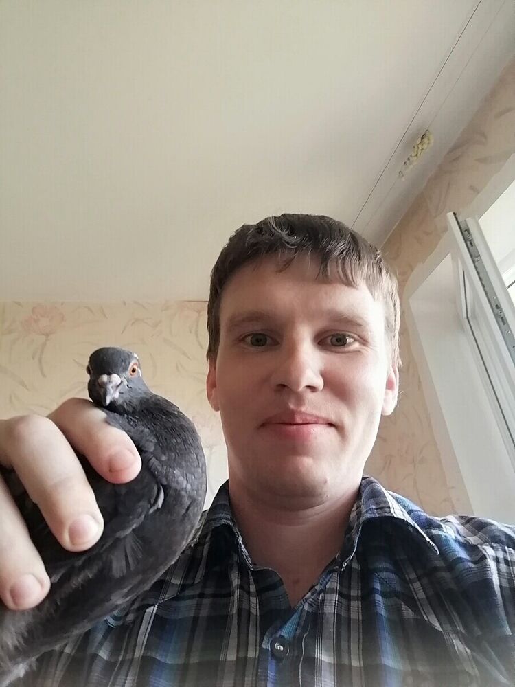 ���� 21359574 ������� �����, 40 ���, ���� ���������� � ������