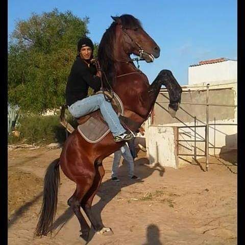 ���� 49254304 ������� Sabel, 35 ���, ���� ���������� � ������