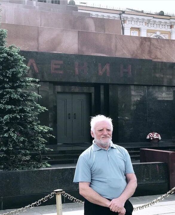 ���� 36504624 ������� �����, 66 ���, ���� ���������� � ������