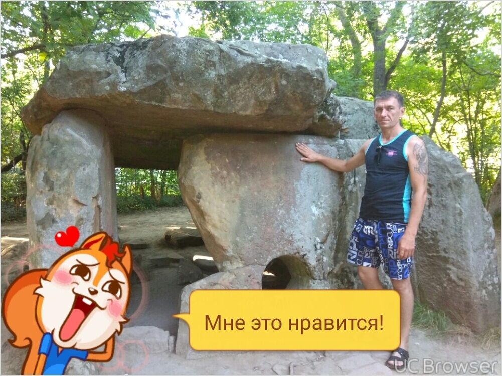  9858944  , 49 ,    