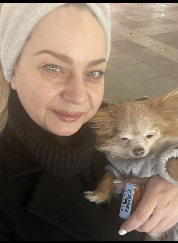 ���������� ������, ���� ������� �����, 51 ���, ������������ ��� ������, ����� � ���������