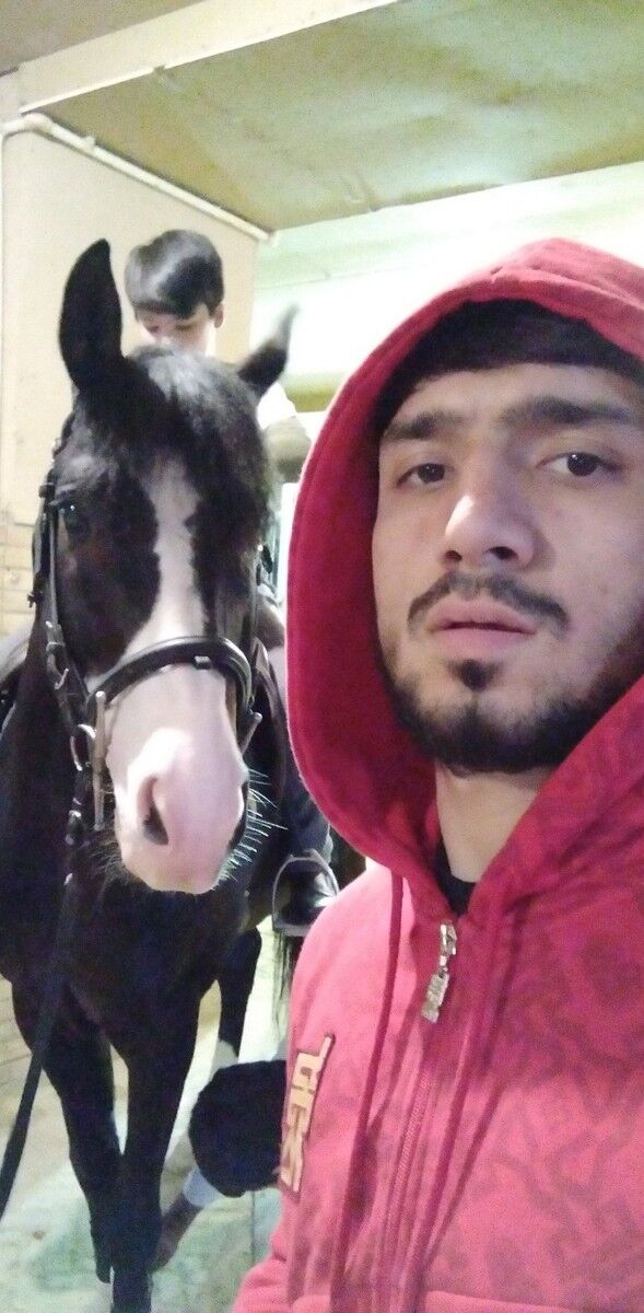 ���� 16370174 ������� Mahmud, 29 ���, ���� ���������� � ��������