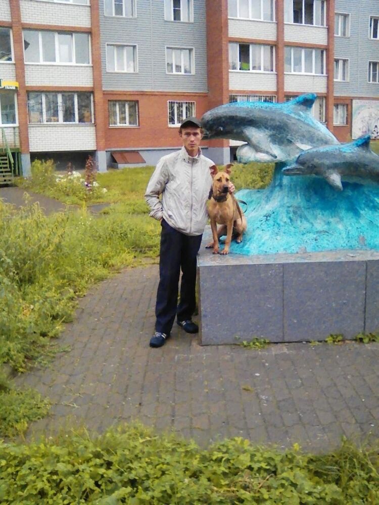 ���������� �������, ���� ������� ����, 39 ���, ������������ ��� ������, ����� � ���������, c�������� ���������