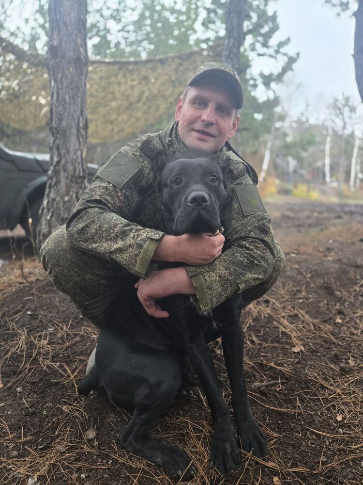  54402194  , 37 ,    -