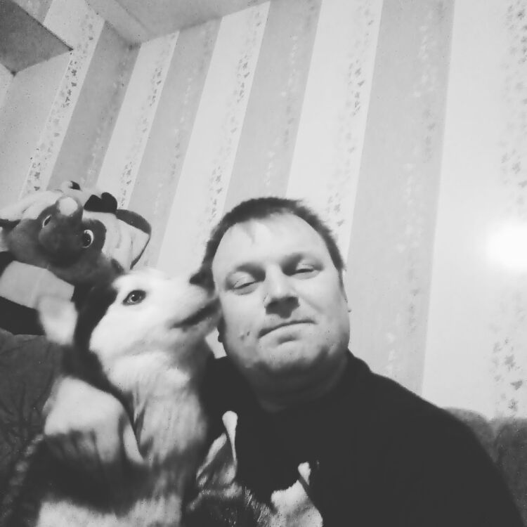 ���� 35750304 ������� ������, 45 ���, ���� ���������� � ��������