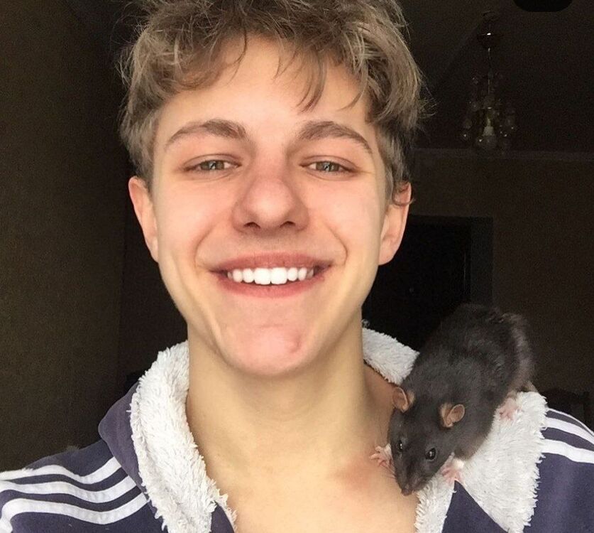 ���������� ���������, ���� ������� ������, 26 ���, ������������ ��� ������, ����� � ���������