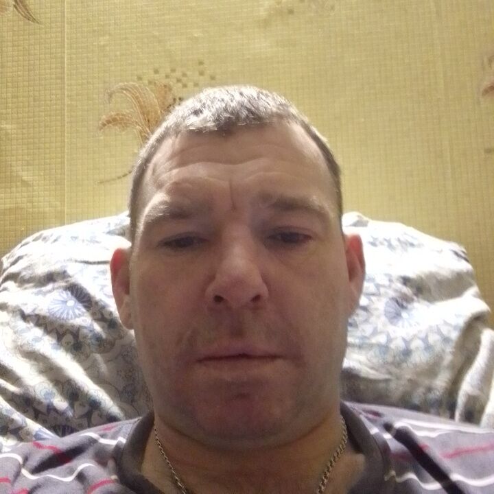  47316554  , 41 ,    