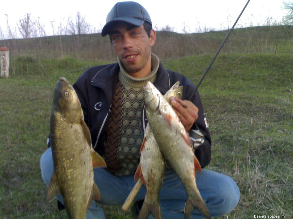 ���������� ����, ���� ������� ��������, 49 ���, ������������ ��� c�������� ���������, ���������