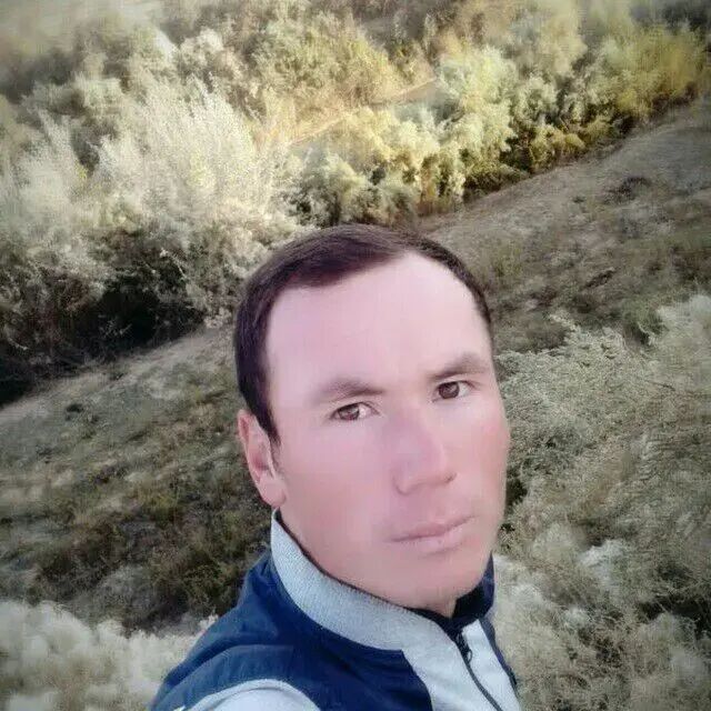 ���������� ������, ���� ������� Abror, 31 ���, ������������ ��� ������, ����� � ���������