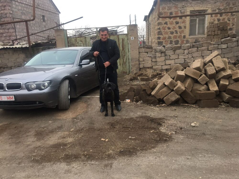 ���� 29637874 ������� ����, 53 ����, ���� ���������� � ����������