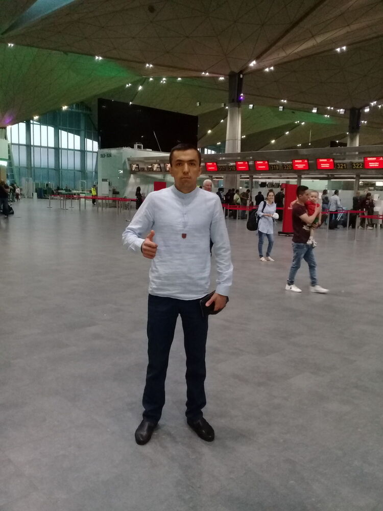  12428344  , 37 ,    -