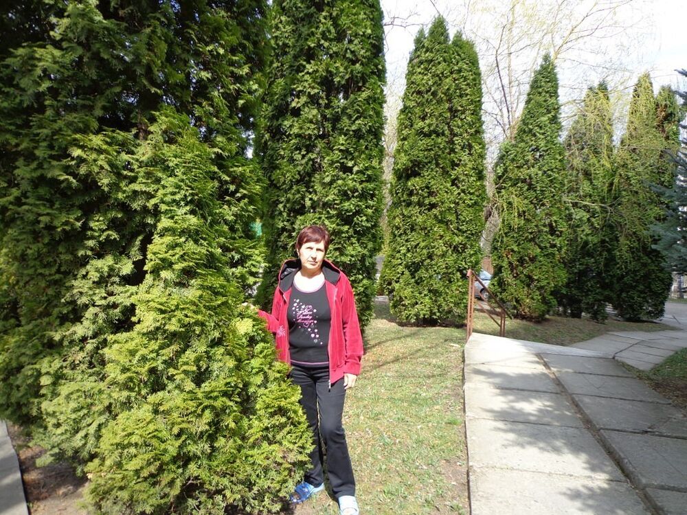 ���������� ����������, ���� ������� �������, 68 ���, ������������ 