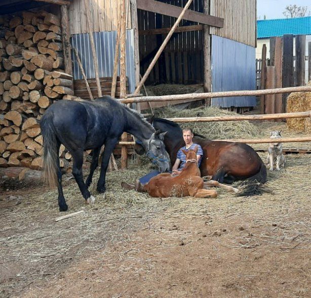 ���������� ������, ���� ����� �������, 24 ����, ������������ ��� ������, ����� � ���������, ���������