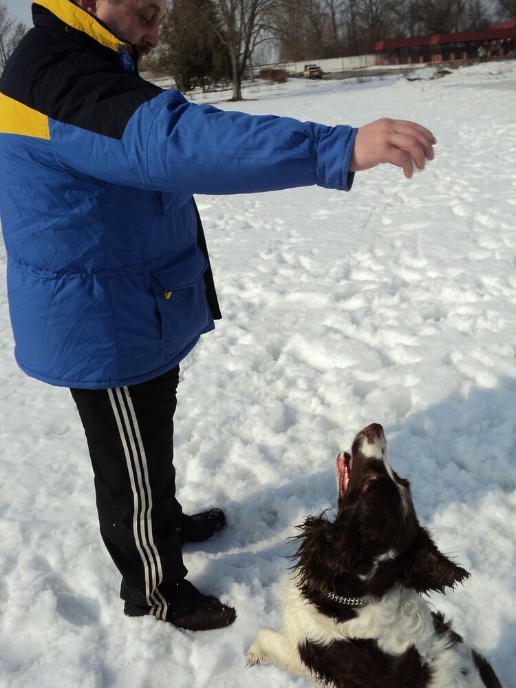 ���� 4071754 ������� ������, 54 ����, ���� ���������� � ����